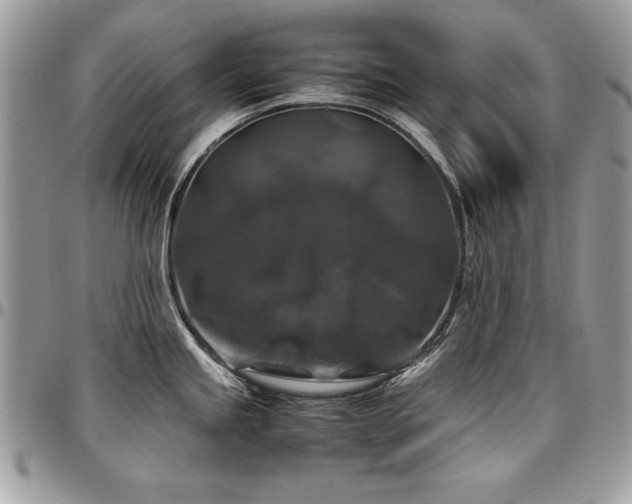 X0000097301245200802151431