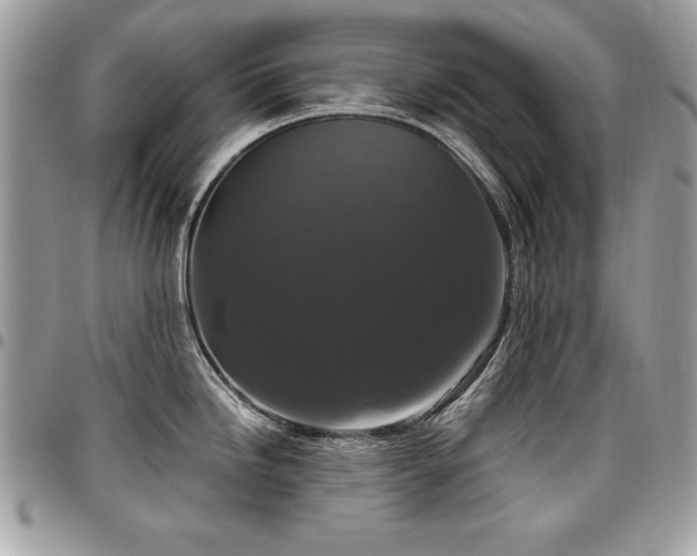 X0000097301246200802151431