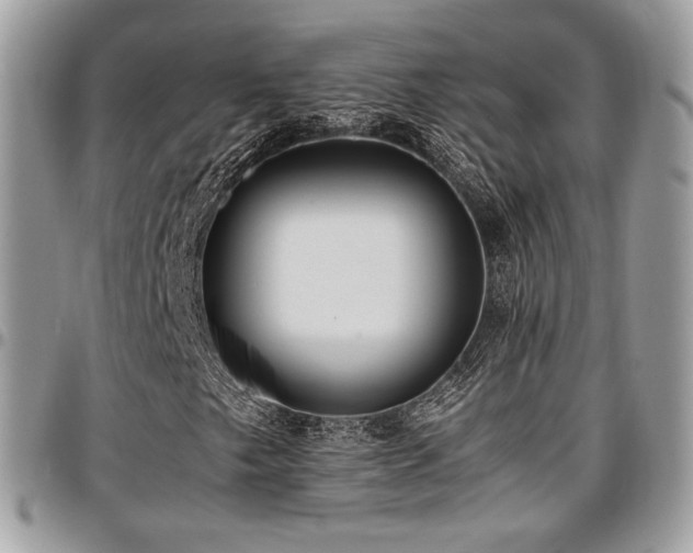X0000097301249200802151430