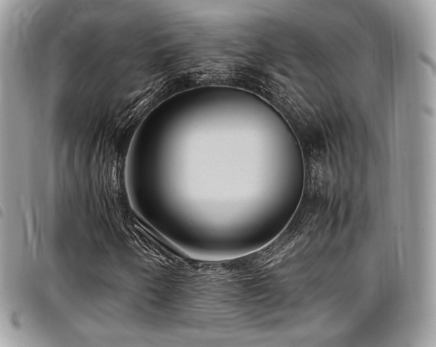 X0000097301250200802151430