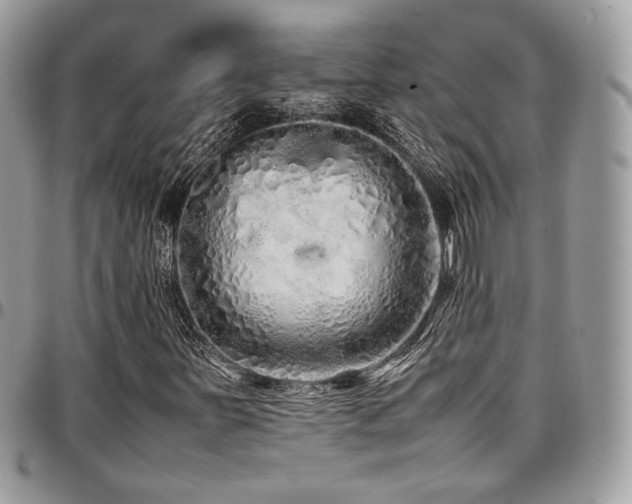 X0000097301251200802151430