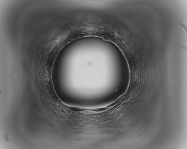 X0000097301253200802151430