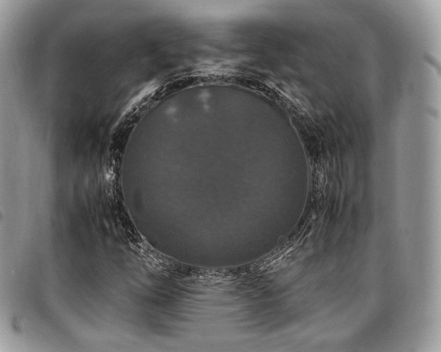 X0000097301254200802151430