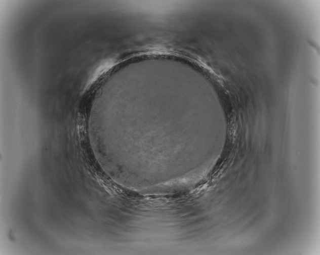 X0000097301255200802151430