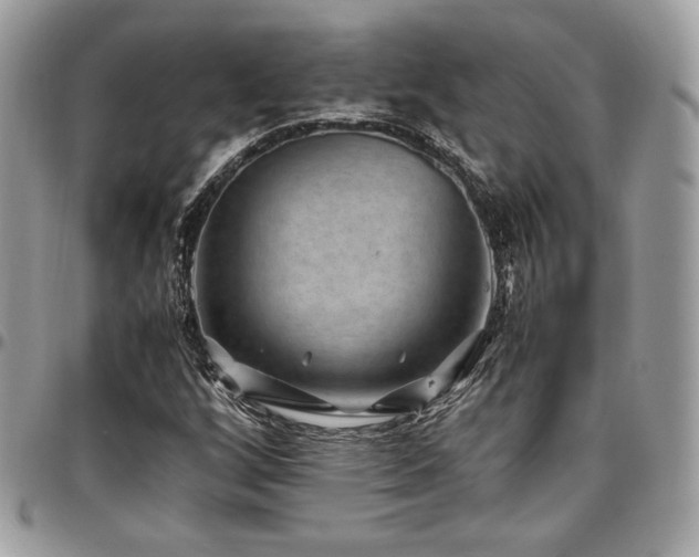 X0000097301256200802151430