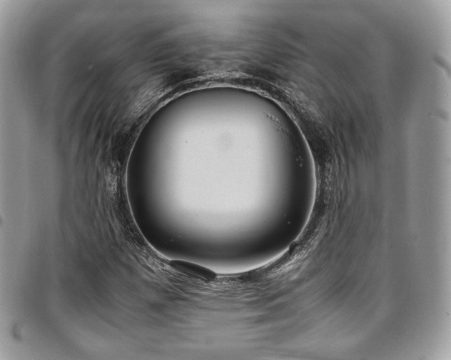 X0000097301257200802151430