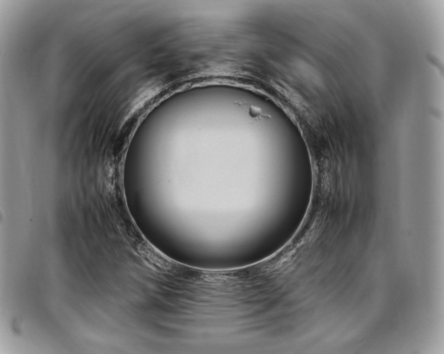 X0000097301258200802151430