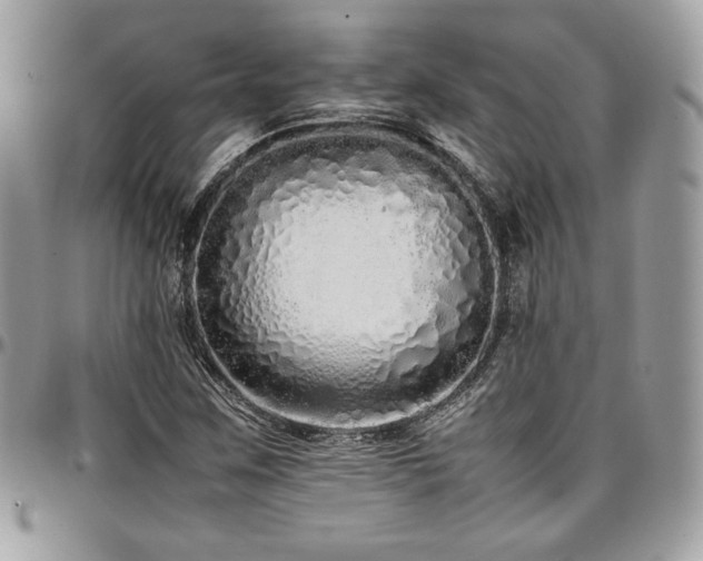 X0000097301259200802151430