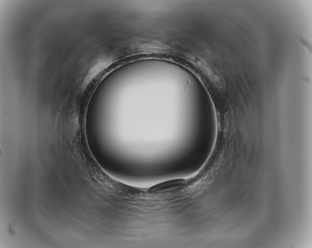 X0000097301261200802151430
