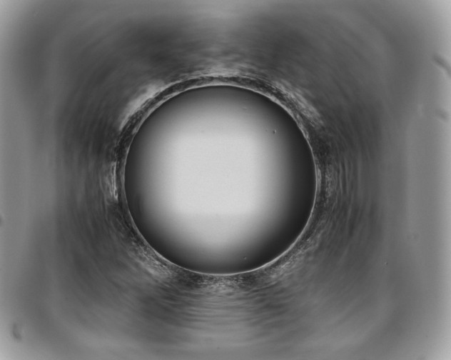 X0000097301262200802151430
