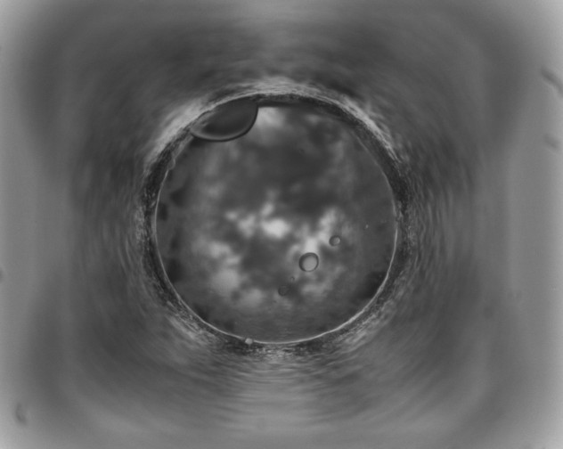 X0000097301263200802151430