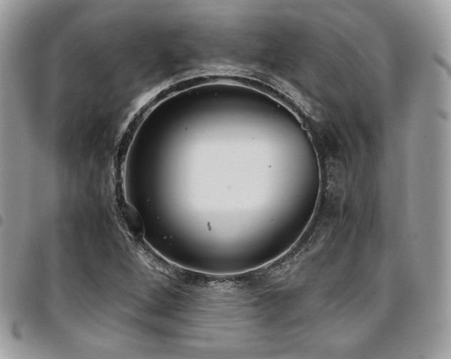 X0000097301264200802151430