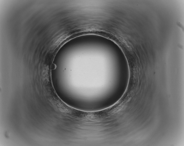 X0000097301265200802151430
