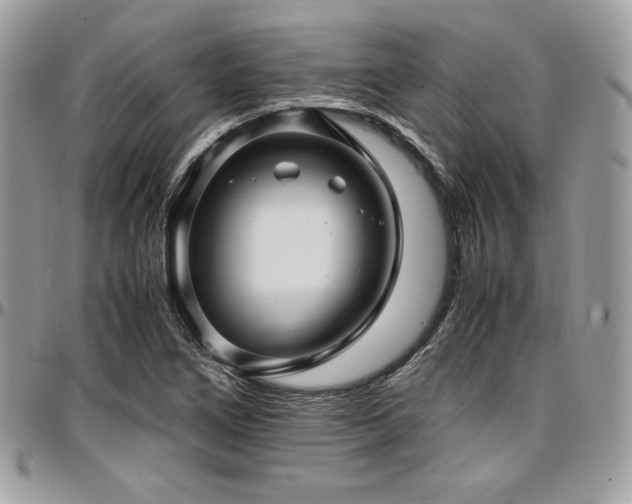 X0000097301266200802151430