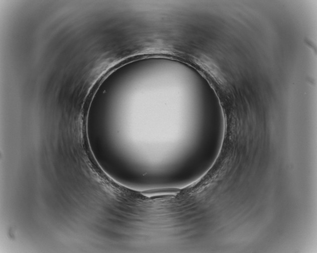 X0000097301268200802151430