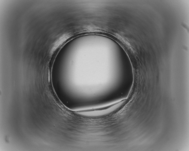 X0000097301269200802151430
