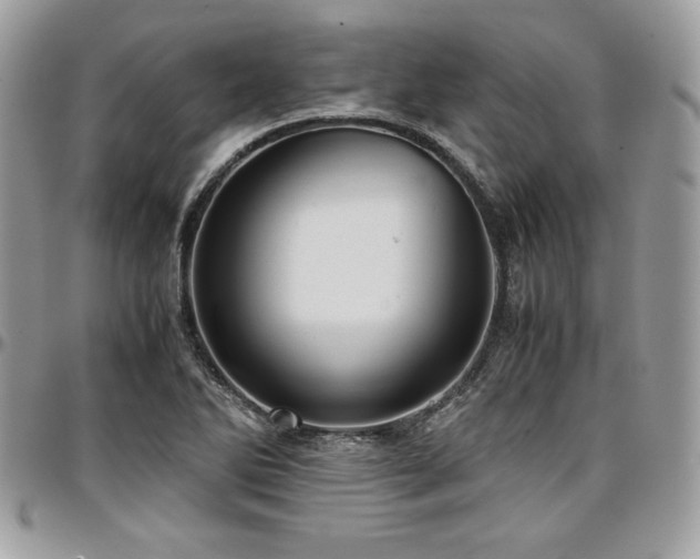 X0000097301270200802151430