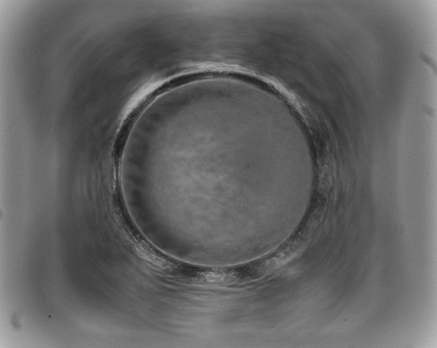X0000097301271200802151430