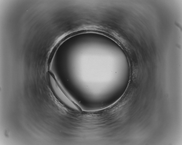 X0000097301272200802151430