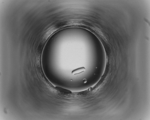 X0000097301273200802151430