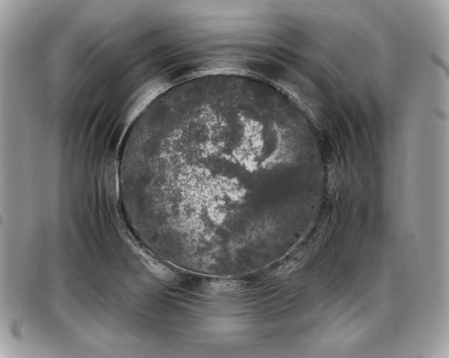 X0000097301274200802151430