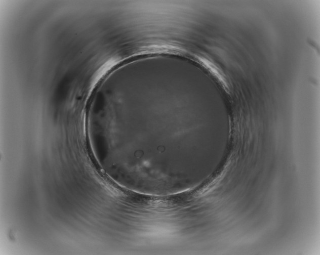 X0000097301275200802151430