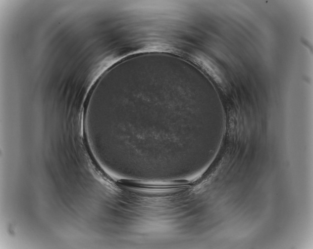 X0000097301276200802151430