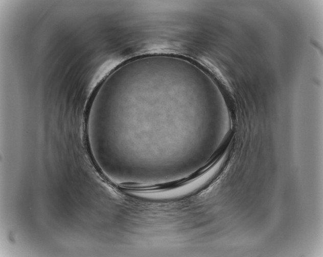 X0000097301277200802151430