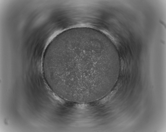 X0000097301278200802151430