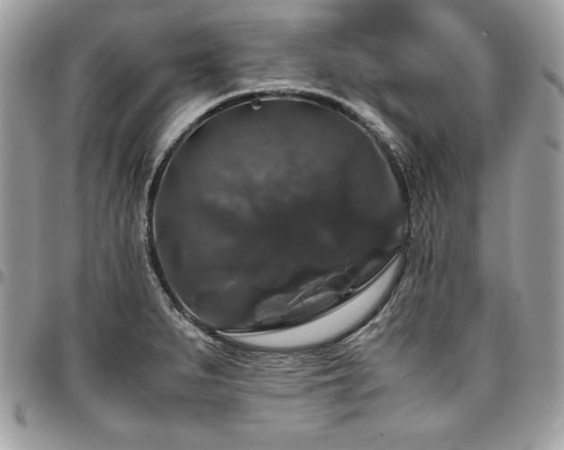 X0000097301279200802151430