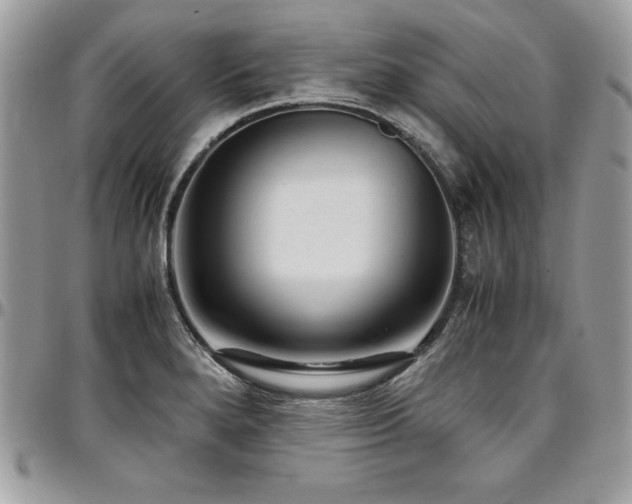 X0000097301280200802151430
