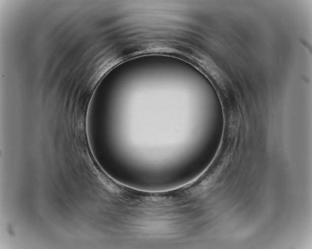 X0000097301281200802151430