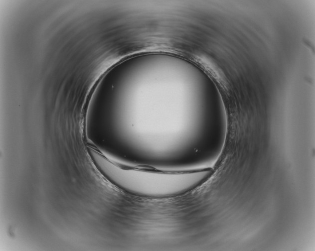 X0000097301284200802151430
