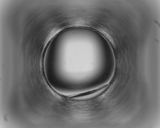 X0000097301285200802151430