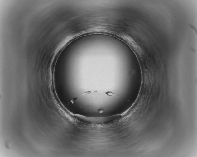 X0000097301286200802151430