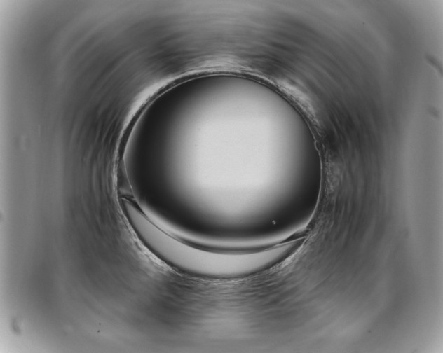 X0000097301288200802151430
