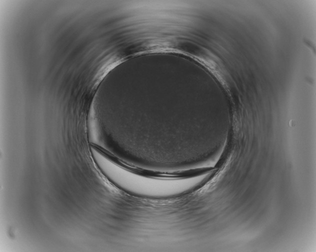 X0000097301289200802151430