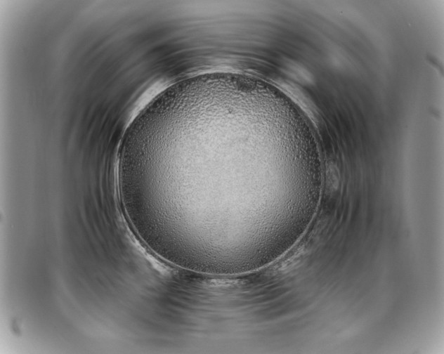 X0000097301290200802151430