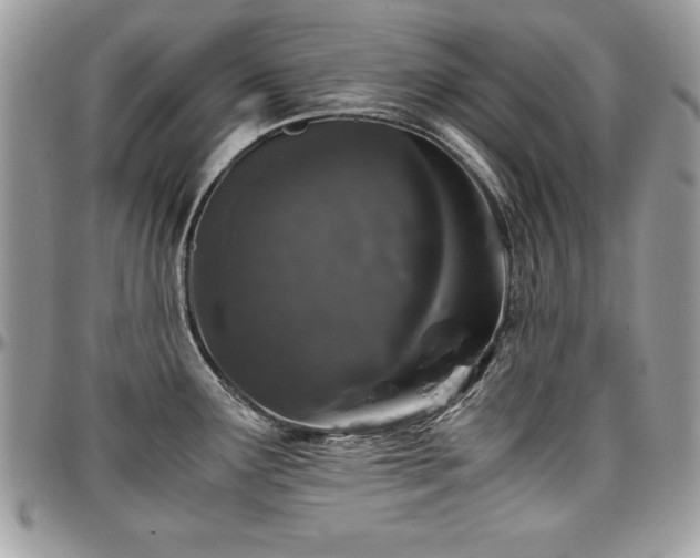 X0000097301291200802151430