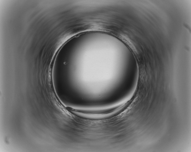 X0000097301292200802151430