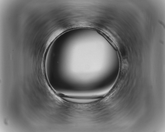 X0000097301293200802151430