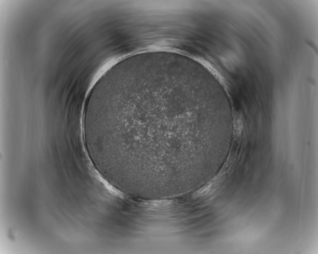 X0000097301294200802151430
