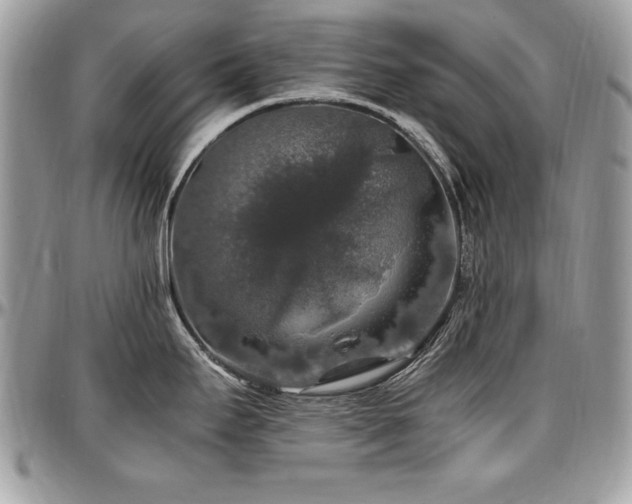 X0000097301295200802151430