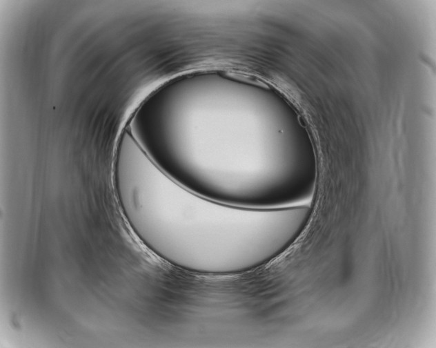 X0000097301296200802151430