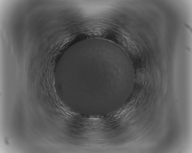 X0000097301297200802151429