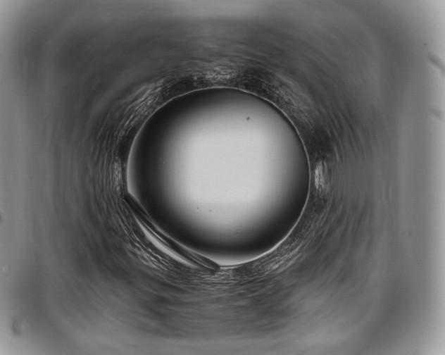 X0000097301299200802151429