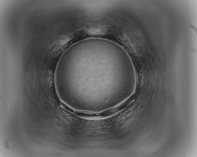 X0000097301301200802151429