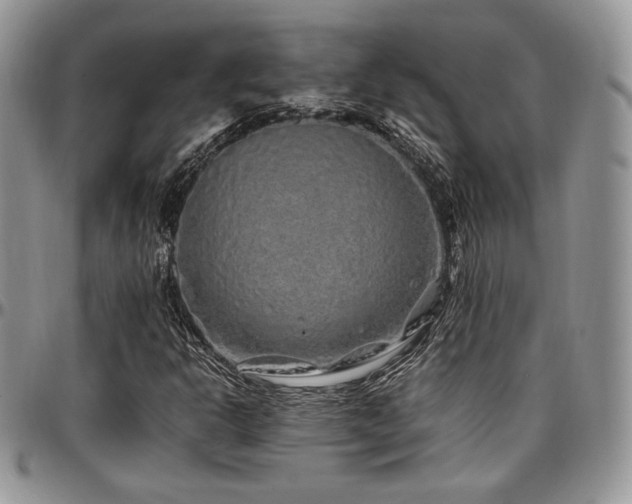 X0000097301302200802151429