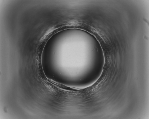X0000097301304200802151429