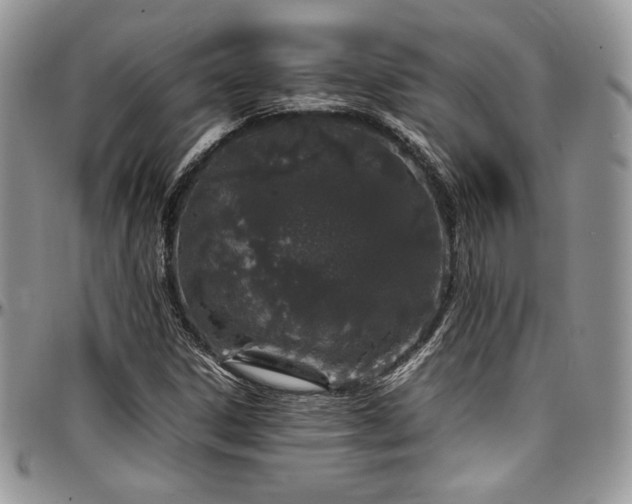 X0000097301306200802151429